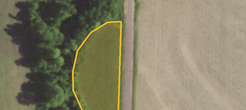 Murphy School Rd