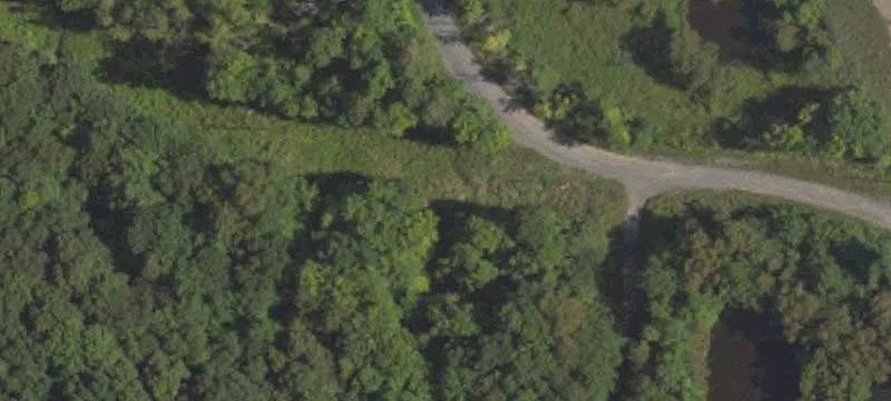 Fallen Timber Rd