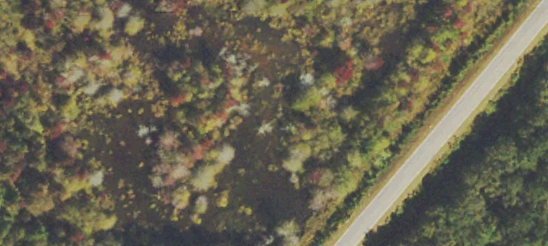 Idylwild Dr