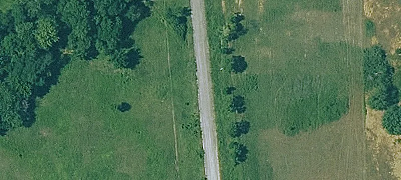 Oriole Rd