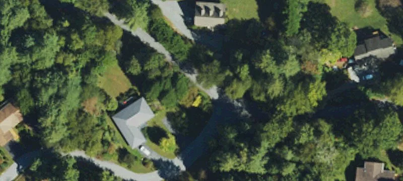 Morgan Dr