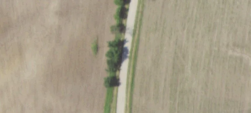 Bethel Rd