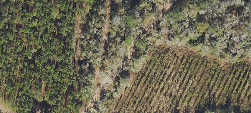 Mayo, FL 32066