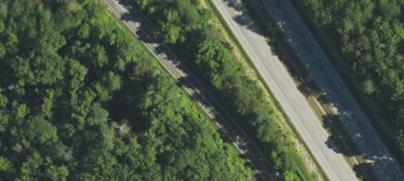 15 Campton Rd