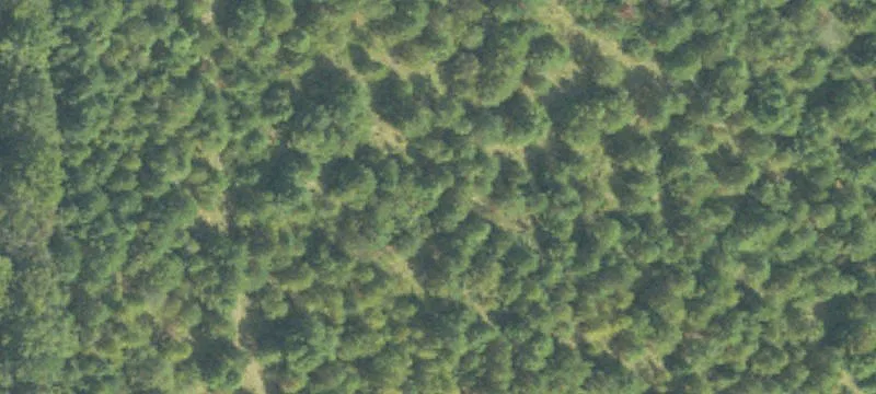 241 Acres In Kemper County