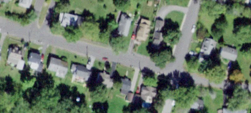 Buena Vista Ave