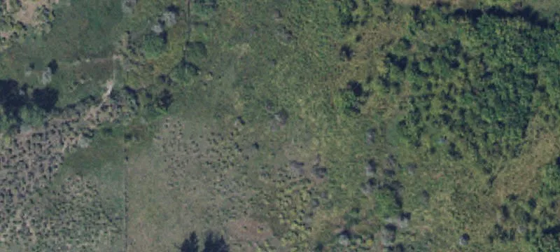 1.81 Acres In Piute