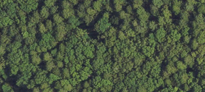 131.30 Acres