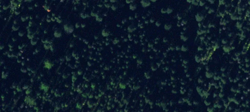 549