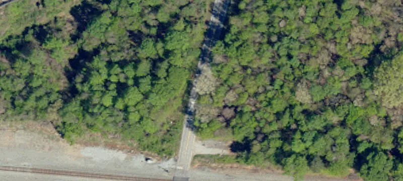 Alexander Rd