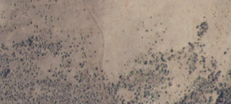 Id-21