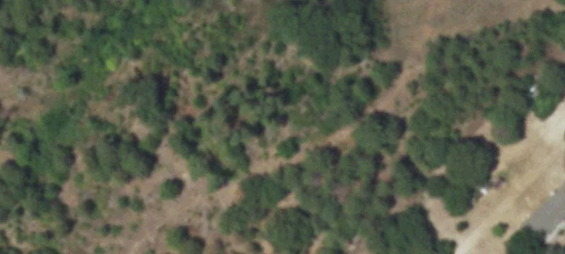 7397 Fm 1803