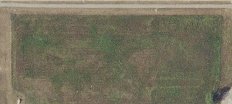 1254 3Rd Ave