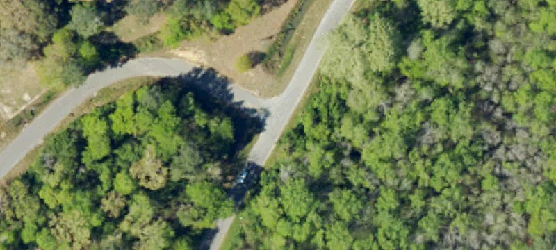 Fire Tower Rd