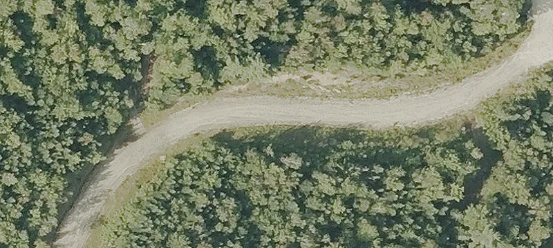 Loon Rd