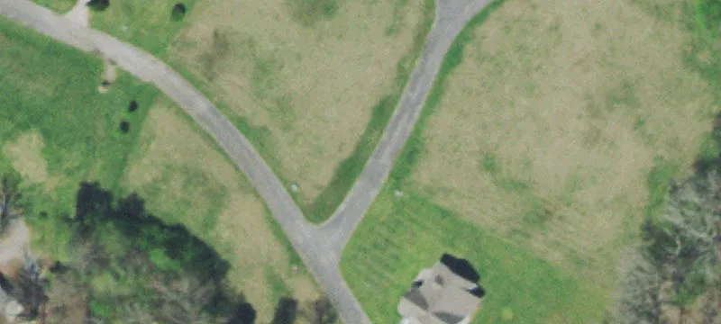 Towering Oaks Ln