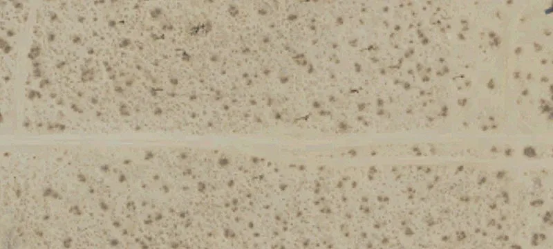 00 Mojave Dr