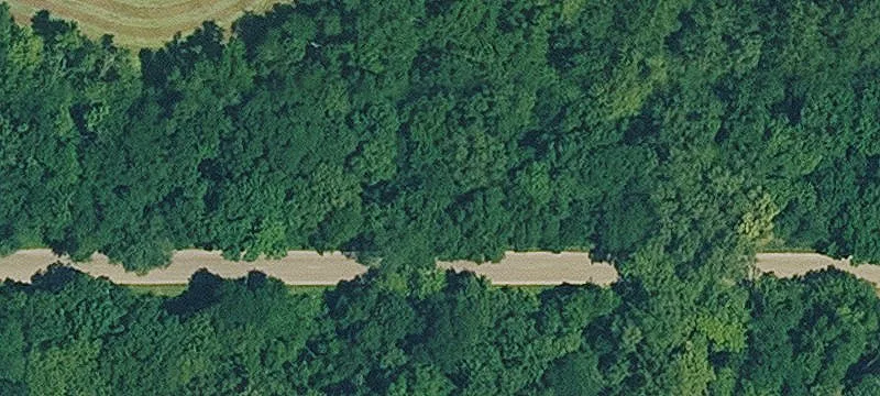 395Th St