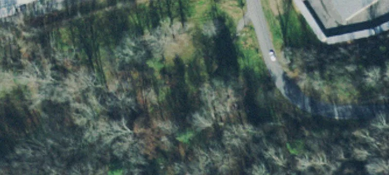 173 Luyben Hills Rd