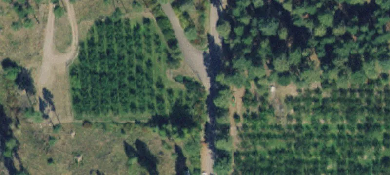 Nhn Sylvan Dr