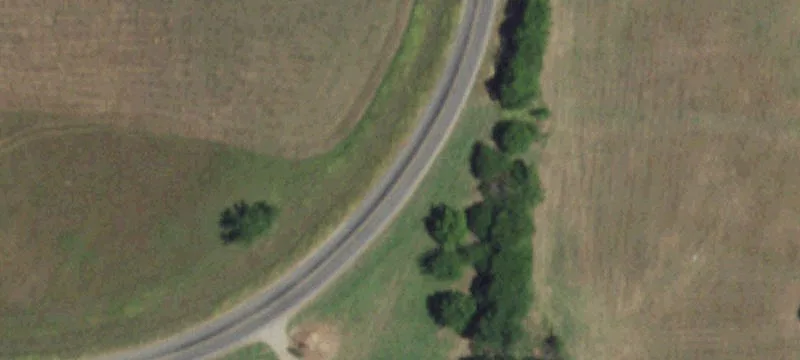 Savoy, TX 75479
