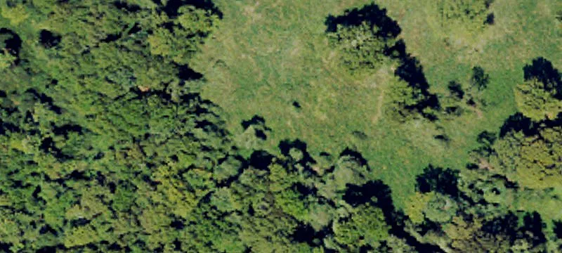 847 Acres In Tallahatchie