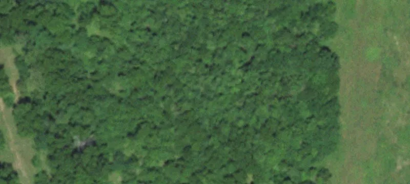 23889 State Hwy