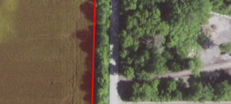 Rose Farm Rd