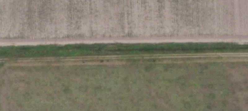 Lion Lake Dr