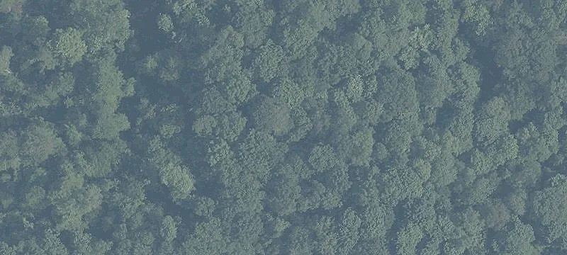 Oh-555