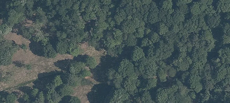 6.6 Acres Philipp Pkwy & Frost Rd