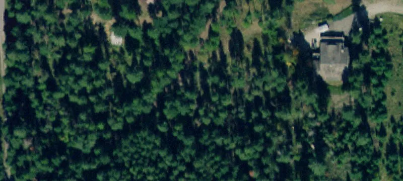 1AA Blacktail Rd