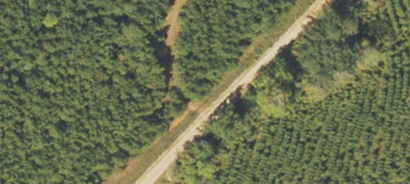 Fryer Rd