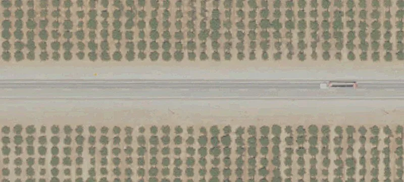 Avenue 96