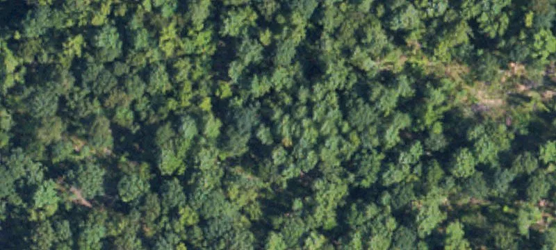 94.8± Acre Recreational Tract