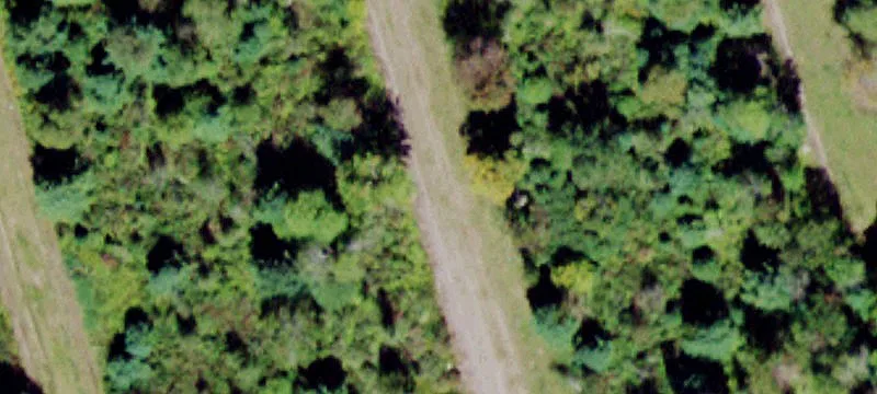 Adirondack Dr