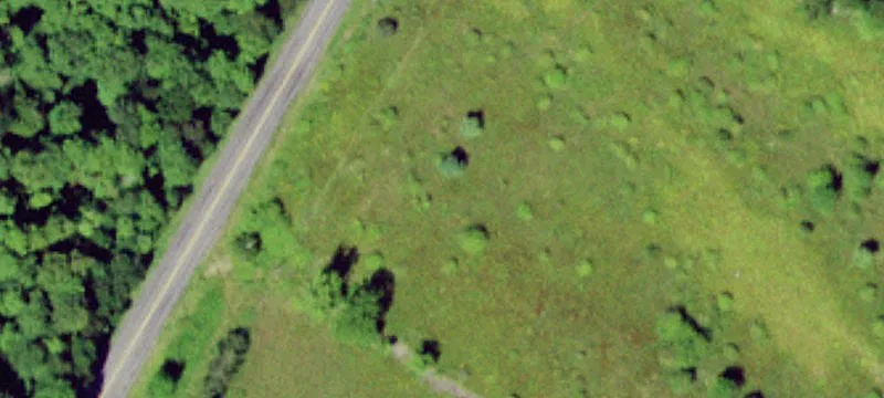 9311 State Highway 206