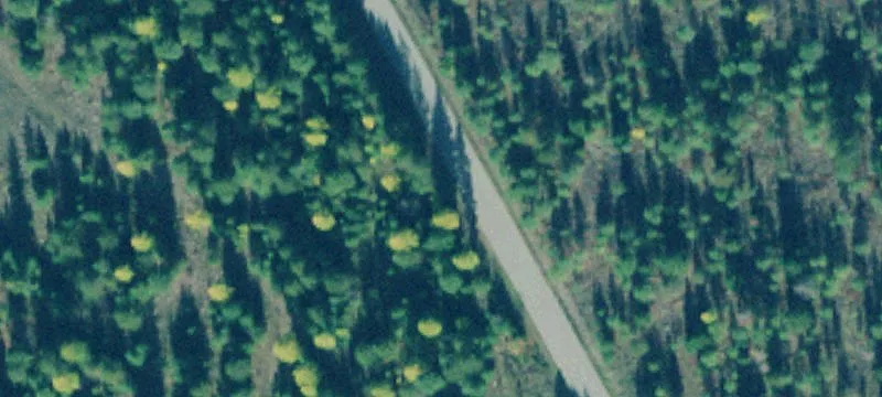 2 Nhn Old Us Hwy