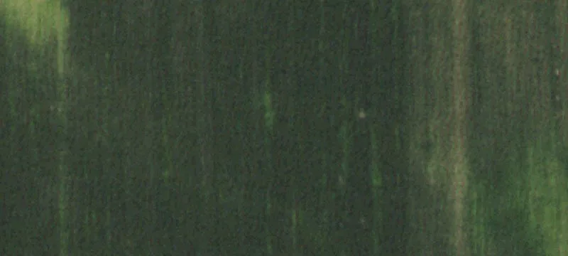 Vacant Lot Ovid Co 80744