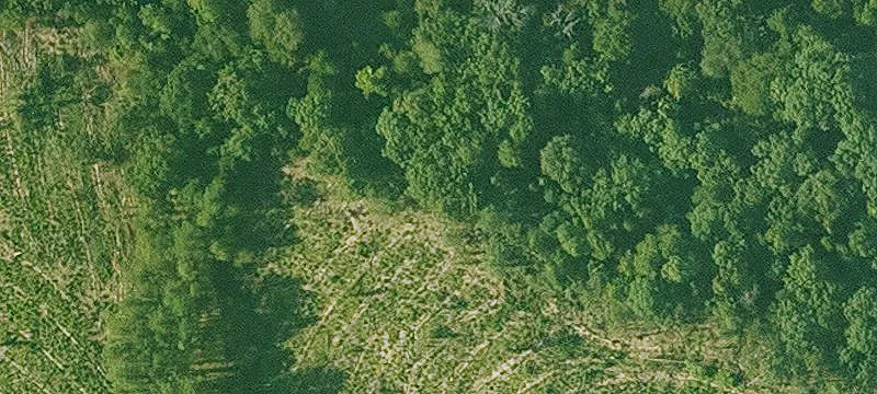 676.15 Acres Plaster Blf