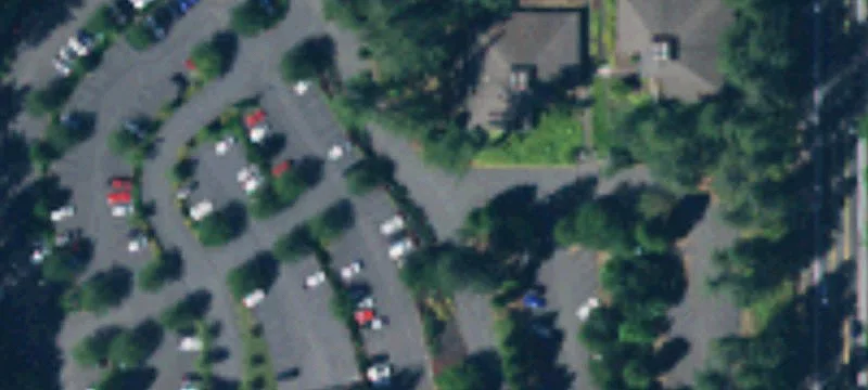 412 Black Hills Ln