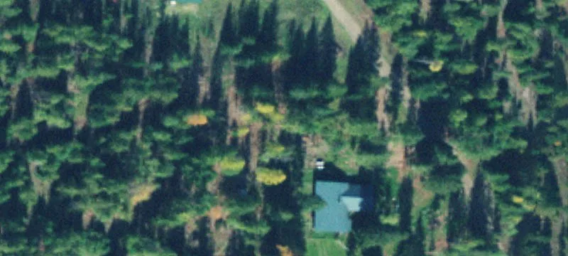 394 White Dr