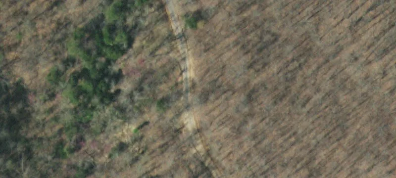 687 Big Springs Rd