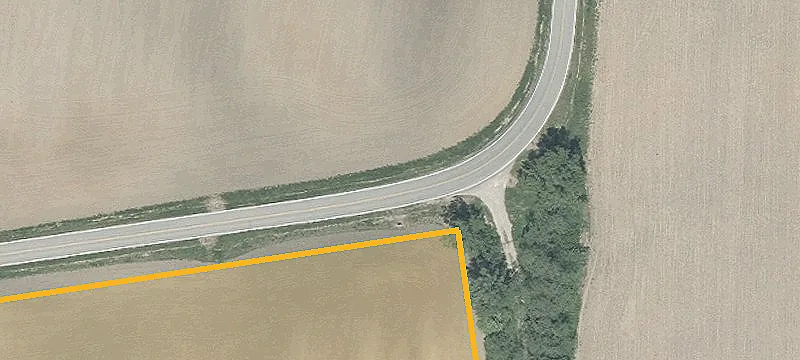 Palmer Rd