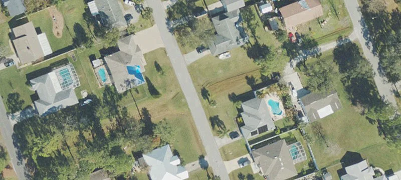 Queen Palm Dr