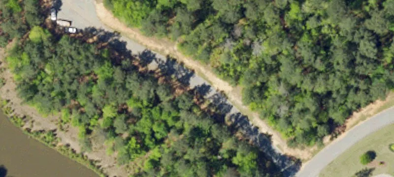 Saluda Ct