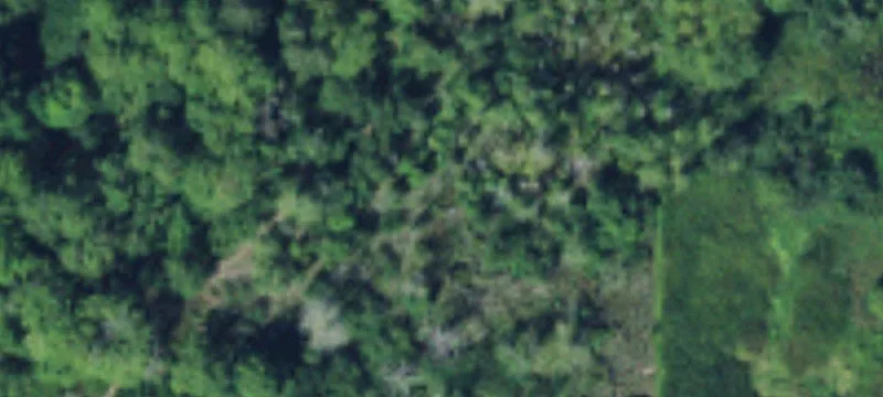 9.13 Acres Prt Orch