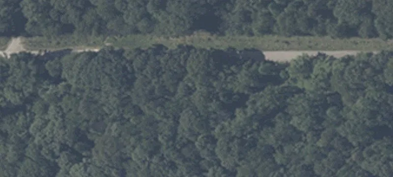 Fiscus Cemetery Rd