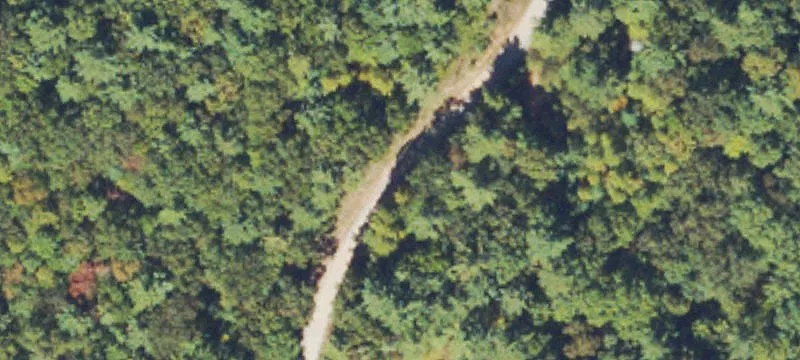 Whitecliff Dr