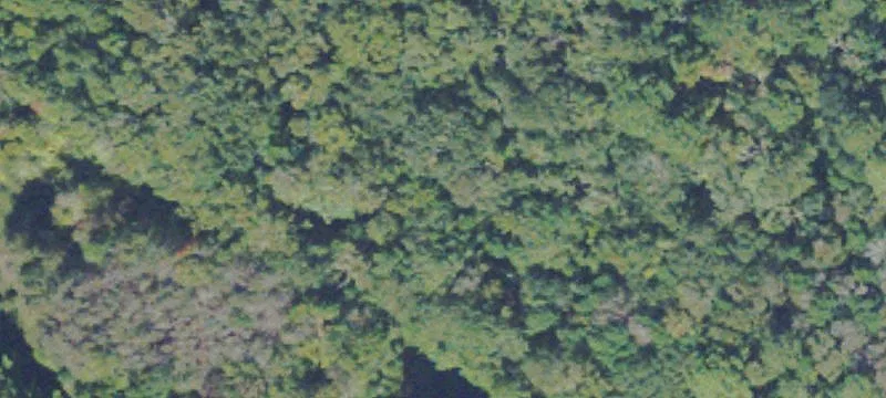 250 Acres Liberty County